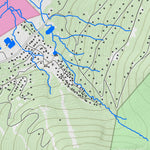 WV Division of Natural Resources Blackwater Falls Quad Topo - WVDNR digital map