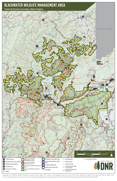 Blackwater Wildlife Management Area Preview 1