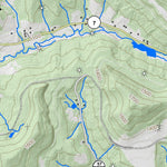 WV Division of Natural Resources Brownton Quad Topo - WVDNR digital map