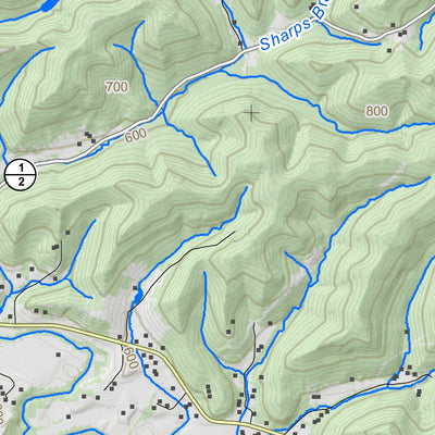 WV Division of Natural Resources Burnaugh Quad Topo - WVDNR digital map