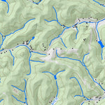 WV Division of Natural Resources Burnaugh Quad Topo - WVDNR digital map