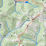 WV Division of Natural Resources Cameron Quad Topo - WVDNR digital map