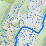 WV Division of Natural Resources Capon Bridge Quad Topo - WVDNR digital map