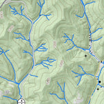 WV Division of Natural Resources Center Point Quad Topo - WVDNR digital map