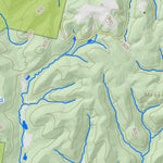 WV Division of Natural Resources Cheshire Quad Topo - WVDNR digital map