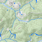 WV Division of Natural Resources Danese Quad Topo - WVDNR digital map