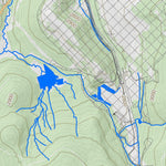 WV Division of Natural Resources Davis Quad Topo - WVDNR digital map
