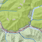 WV Division of Natural Resources Davy Quad Topo - WVDNR digital map