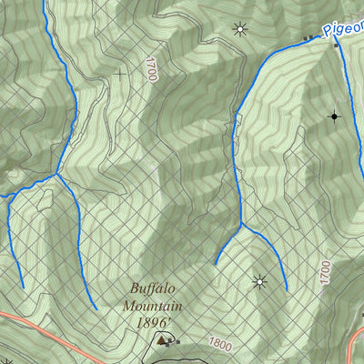 WV Division of Natural Resources Delbarton Quad Topo - WVDNR digital map