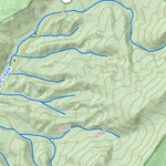 WV Division of Natural Resources Denmar Quad Topo - WVDNR digital map