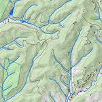 WV Division of Natural Resources Durbin Quad Topo - WVDNR digital map