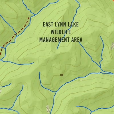 WV Division of Natural Resources East Lynn Lake Fishing Guide (Large) digital map