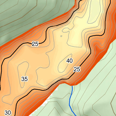 WV Division of Natural Resources Elkwater Fork Lake Fishing Guide (Small) digital map