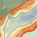 WV Division of Natural Resources Elkwater Fork Lake Fishing Guide (Small) digital map