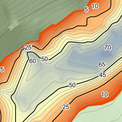 WV Division of Natural Resources Elkwater Fork Lake Fishing Guide (Small) digital map
