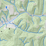 WV Division of Natural Resources Girta Quad Topo - WVDNR digital map