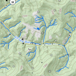 WV Division of Natural Resources Glenville Quad Topo - WVDNR digital map