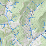 WV Division of Natural Resources Grant Town Quad Topo - WVDNR digital map