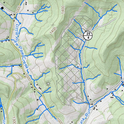 WV Division of Natural Resources Grant Town Quad Topo - WVDNR digital map