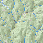 WV Division of Natural Resources Griffithsville Quad Topo - WVDNR digital map