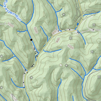 WV Division of Natural Resources Griffithsville Quad Topo - WVDNR digital map