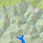 WV Division of Natural Resources Holden Quad Topo - WVDNR digital map