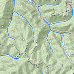 WV Division of Natural Resources Iaeger Quad Topo - WVDNR digital map