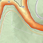 WV Division of Natural Resources Jennings Randolph Lake Fishing Guide (Small) digital map