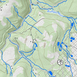 WV Division of Natural Resources Kingwood Quad Topo - WVDNR digital map