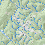 WV Division of Natural Resources Levels Quad Topo - WVDNR digital map