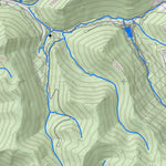 WV Division of Natural Resources Logan Quad Topo - WVDNR digital map