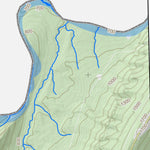 WV Division of Natural Resources Lonaconing Quad Topo - WVDNR digital map