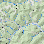WV Division of Natural Resources Looneyville Quad Topo - WVDNR digital map