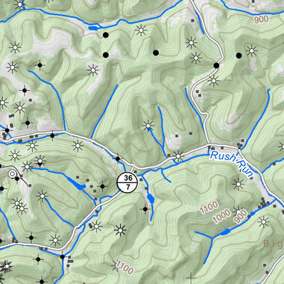 WV Division of Natural Resources Looneyville Quad Topo - WVDNR digital map