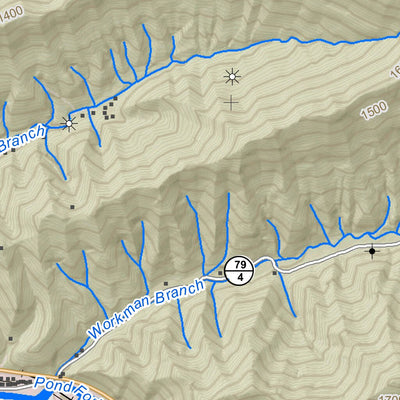 WV Division of Natural Resources Madison Quad Topo - WVDNR digital map