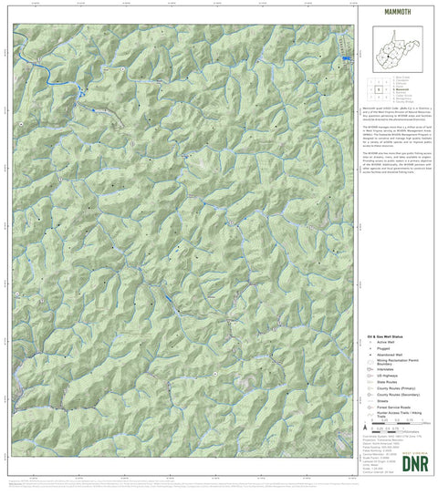WV Division of Natural Resources Mammoth Quad Topo - WVDNR digital map