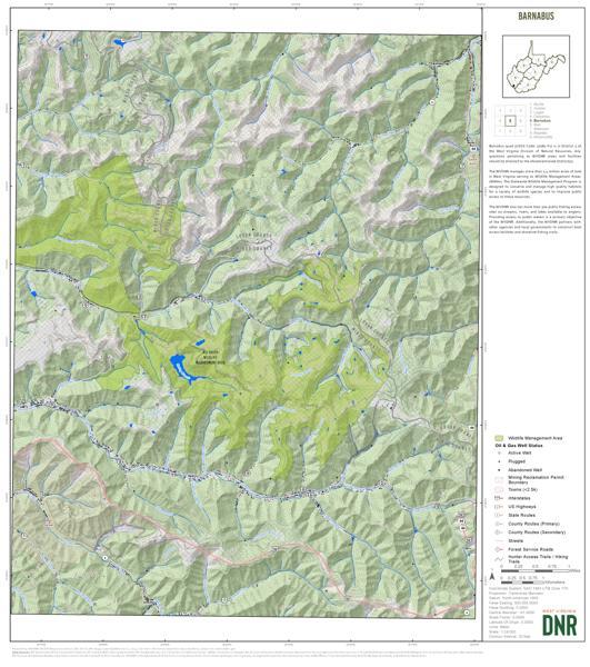 Mingo County, WV Quad Maps Bundle Map by WV Division of Natural