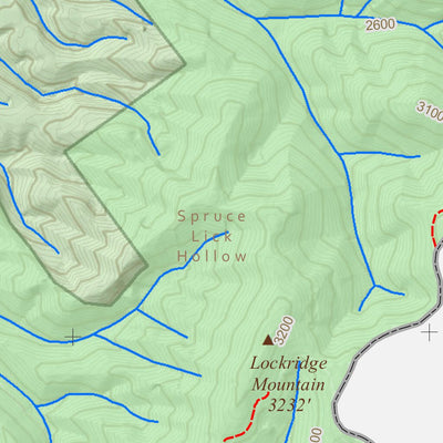 WV Division of Natural Resources Minnehaha Springs Quad Topo - WVDNR digital map