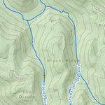 WV Division of Natural Resources Mount Nebo Quad Topo - WVDNR digital map