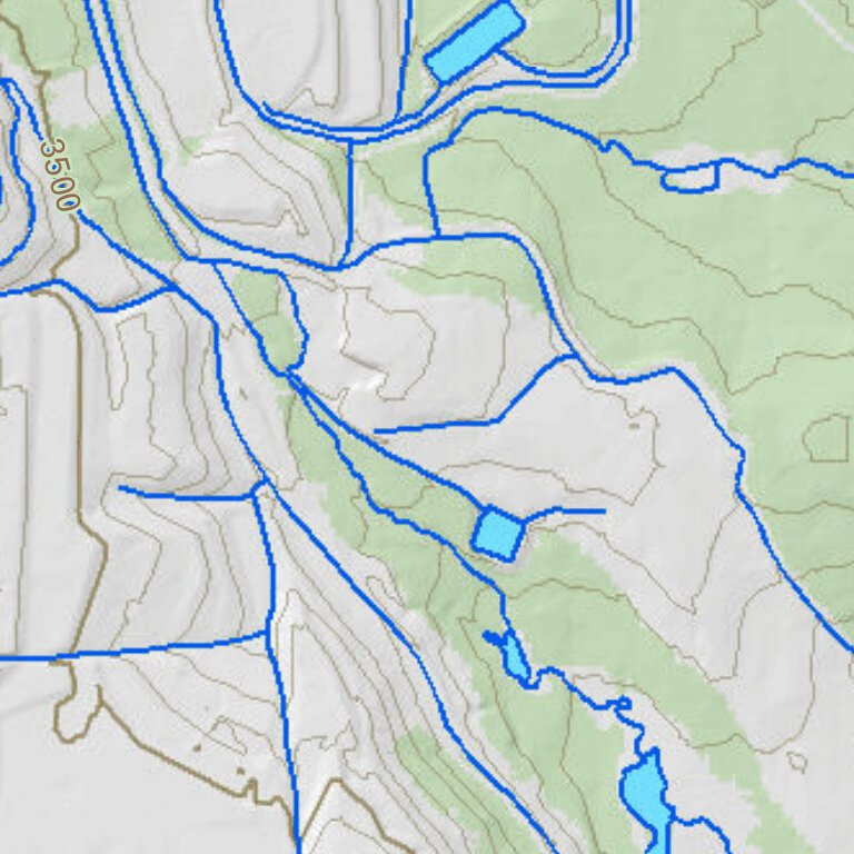 Mount Storm Lake Fishing Guide (Small) Map by WV Division of Natural