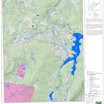 WV Division of Natural Resources Mount Storm Lake Quad Topo - WVDNR digital map