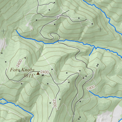 WV Division of Natural Resources Mount Storm Quad Topo - WVDNR digital map