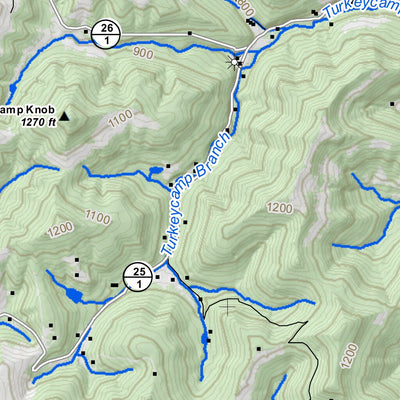 WV Division of Natural Resources Nestlow Quad Topo - WVDNR bundle exclusive