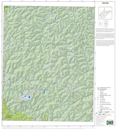 WV Division of Natural Resources Nestlow Quad Topo - WVDNR digital map
