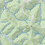 WV Division of Natural Resources Nestlow Quad Topo - WVDNR digital map