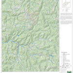 WV Division of Natural Resources Nettie Quad Topo - WVDNR digital map