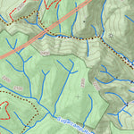 WV Division of Natural Resources Parsons Quad Topo - WVDNR digital map