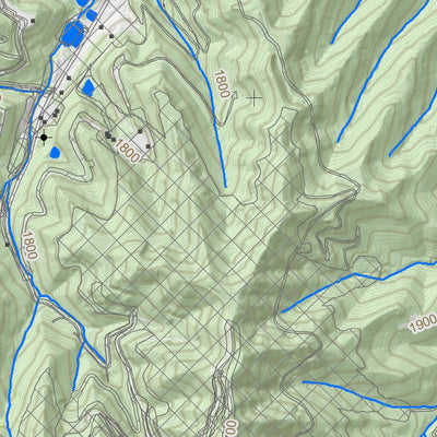 WV Division of Natural Resources Pax Quad Topo - WVDNR digital map