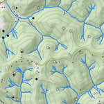 WV Division of Natural Resources Raven Rock Quad Topo - WVDNR digital map