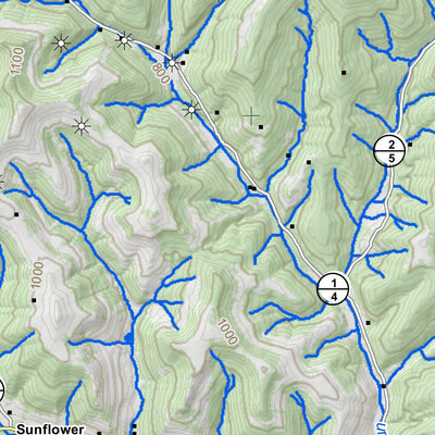 WV Division of Natural Resources Reedy Quad Topo - WVDNR bundle exclusive